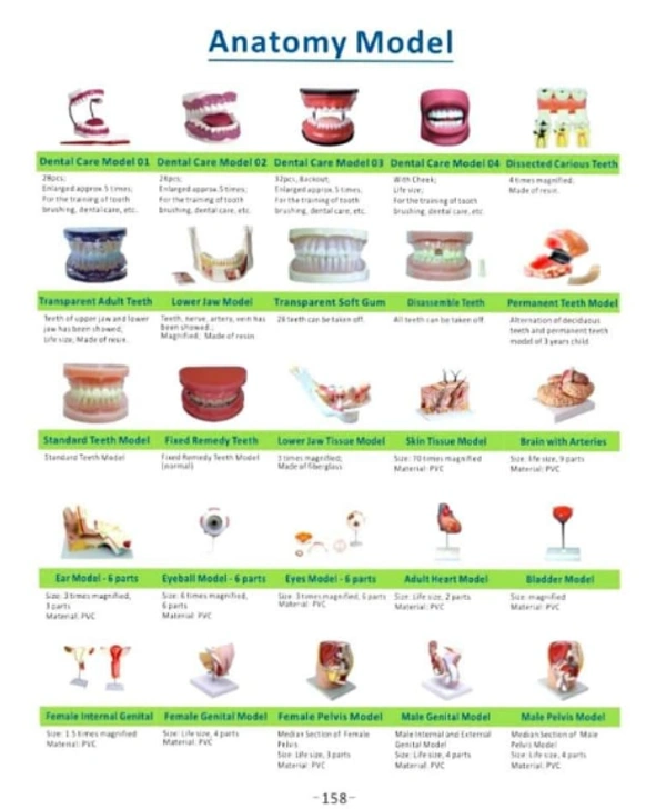 Nursing Training Materials